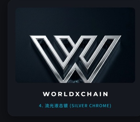 WorldXChain - Silver Chrome